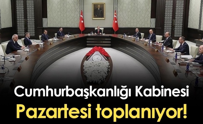 Kabine pazartesi toplanıyor. Kabine'nin gündem maddeleri neler?