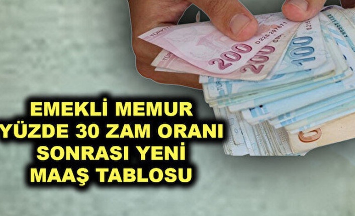 EMEKLİ-MEMUR ZAMMI YÜZDE 30 OLDU! Cumhurbaşkanı Erdoğan açıkladı: İşte yeni emekli maaşı ve memur maaşları hesaplama tabloları