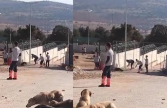 Barınak görüntüleri infial oluşturdu, şube müdürü açığa alındı, 2 gözaltı