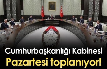 Kabine pazartesi toplanıyor. Kabine'nin gündem maddeleri neler?