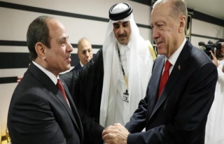 Mısır'dan 'Erdoğan ile Sisi'nin tokalaşmasına'...