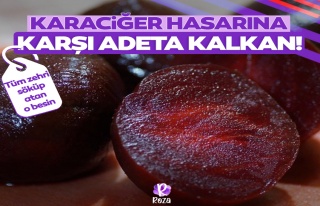 Karaciğer hasarına karşı adeta kalkana dönüşüyor!...