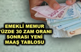 EMEKLİ-MEMUR ZAMMI YÜZDE 30 OLDU! Cumhurbaşkanı...